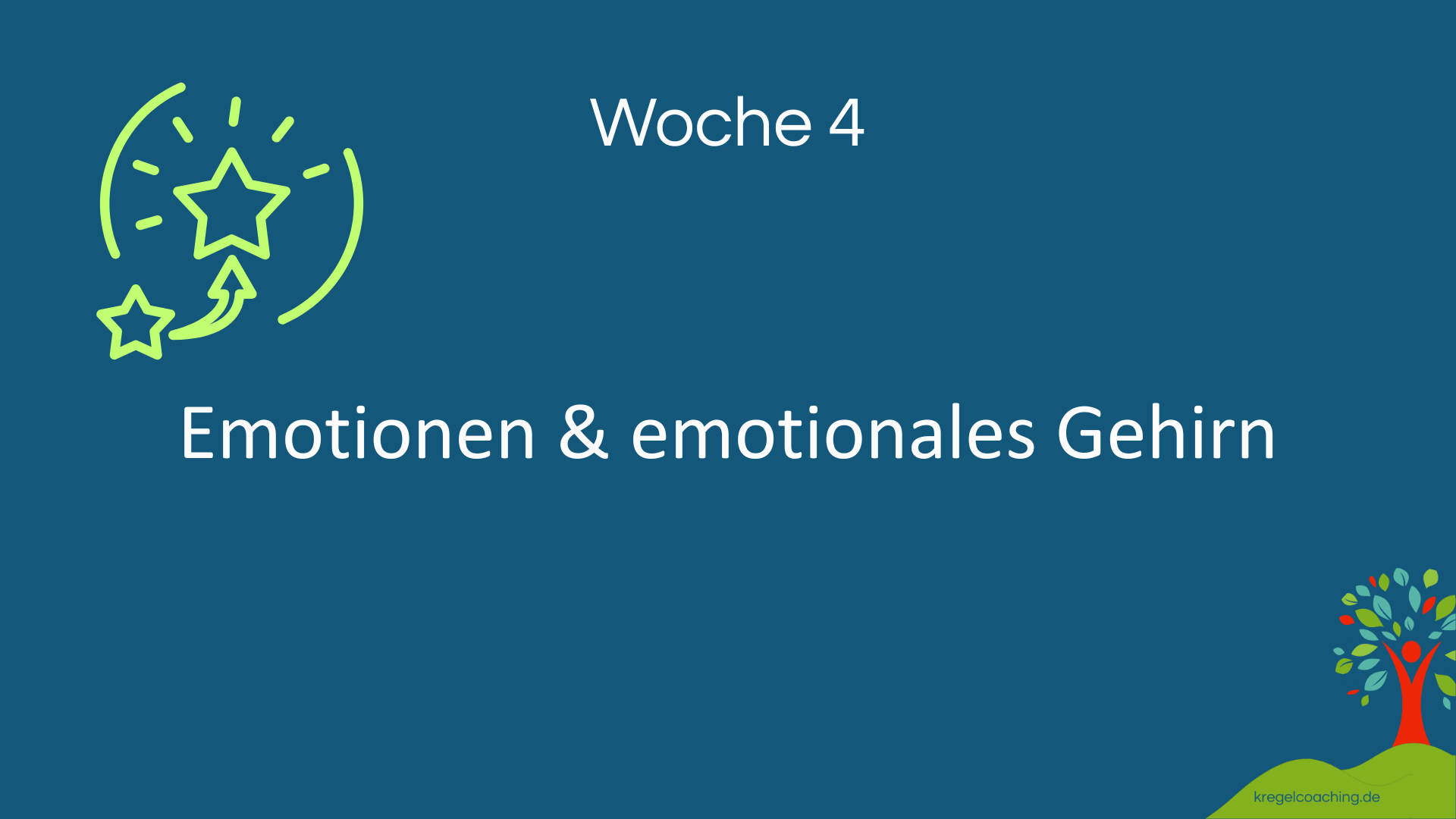 Modul Woche 4 – Emotionen verstehen und das emotionale Gehirn nutzen