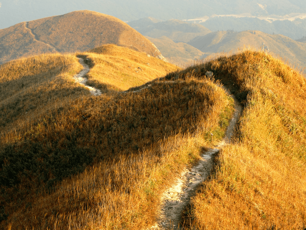 Schmaler Pfad durch sanfte, goldene Hügellandschaft – Symbol für Orientierung und stimmige nächste Schritte