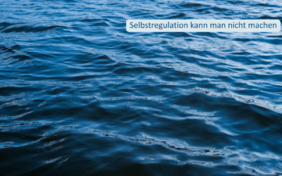 Selbstregulation kann man nicht machen
