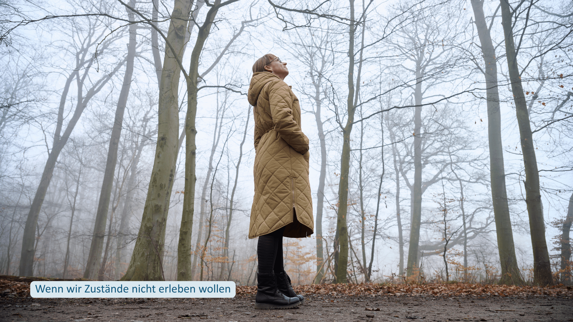 Wenn wir Zustände nicht erleben wollen Frau steht in einem nebligen Wald und blickt nach oben, während sie einen Moment innehält.