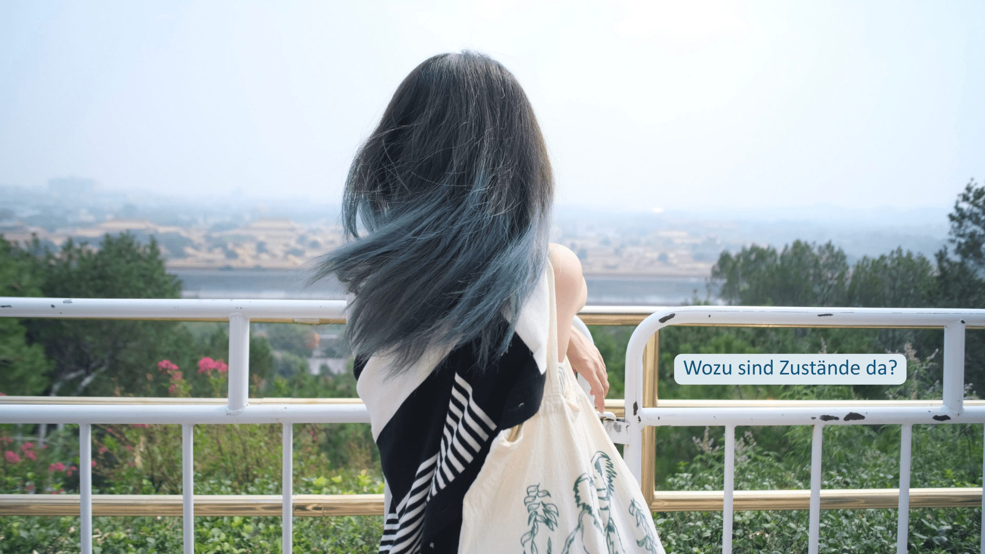 Wozu sind Zustände da Frau blickt über eine Landschaft in die Ferne – Zustände helfen dabei, Aufmerksamkeit und Wahrnehmung auf das auszurichten, was wichtig erscheint.